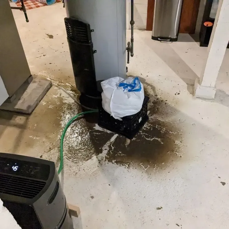 Sewage Backup Cleanup Service in Dracut, MA